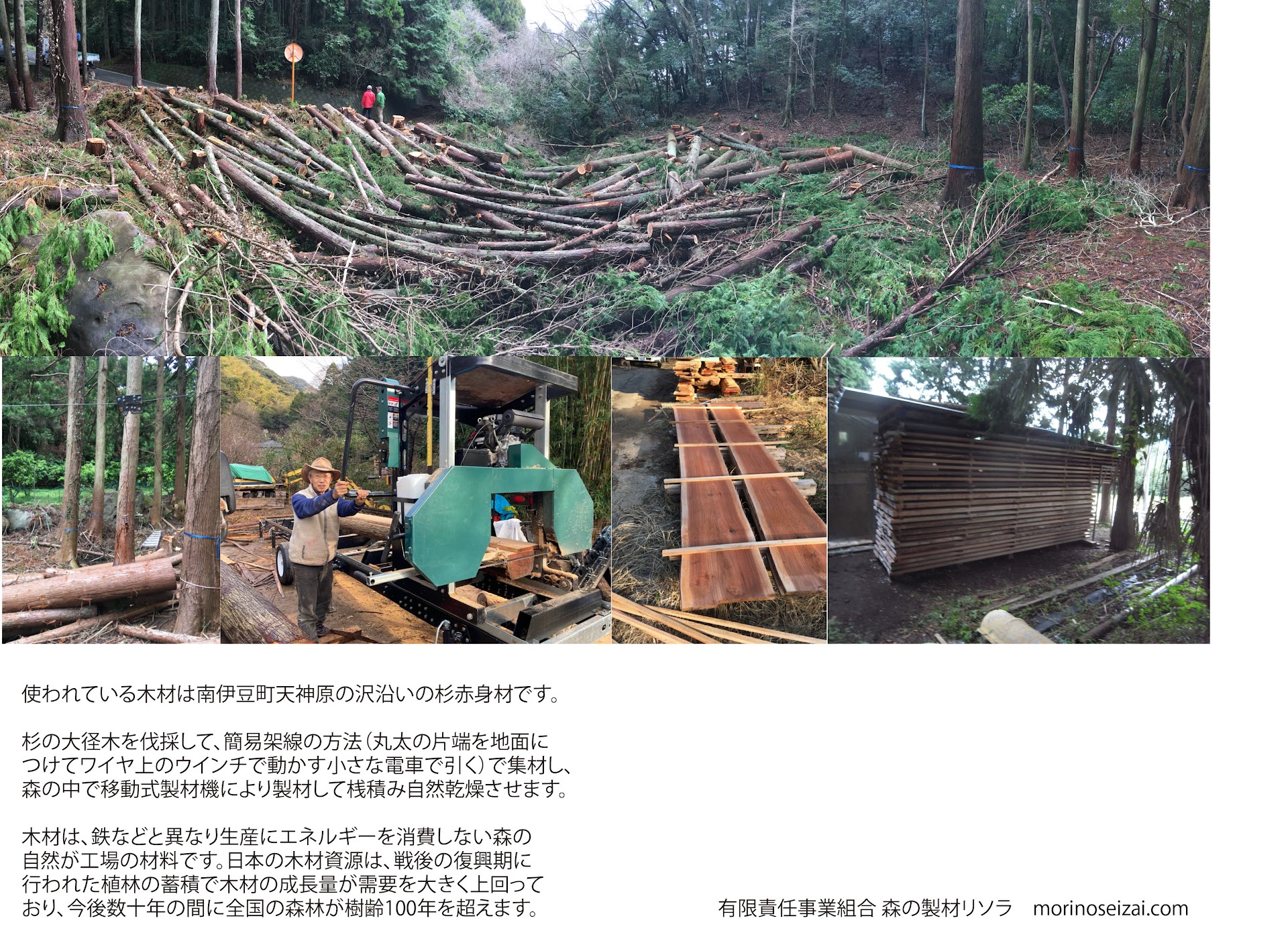杉の大径木の伐採、簡易架線による集材、森の中の移動式製材機、挽いた杉赤身板、桟積み乾燥の写真。使われている木材は南伊豆町天神原の沢沿いの杉赤身材という説明文つき